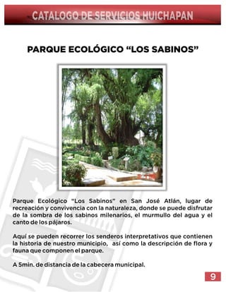 Cat turismohuichapan