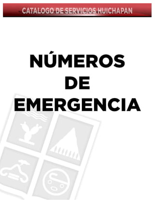 Cat turismohuichapan