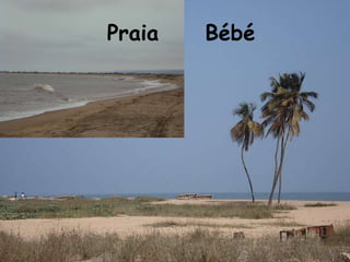 Praia   Bébé
 