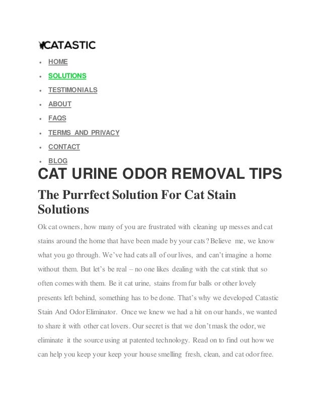 Cat Urine Odor Rremoval Tips