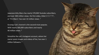 The Appeal of Cat Videos