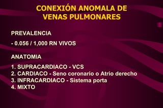 CONEXIÓN ANOMALA DE VENAS PULMONARES PREVALENCIA - 0.056 / 1,000 RN VIVOS ANATOMIA 1. SUPRACARDIACO - VCS 2. CARDIACO - Seno coronario o Atrio derecho 3. INFRACARDIACO - Sistema porta  4. MIXTO  