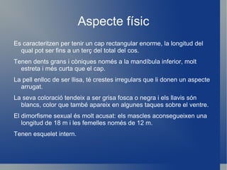 Aspecte físic Es caracteritzen per tenir un cap rectangular enorme, la longitud del qual pot ser fins a un terç del total del cos.  