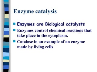 Enzyme catalysis
 Enzymes are Biological catalysts
 Enzymes control chemical reactions that
take place in the cytoplasm.
 Catalase in an example of an enzyme
made by living cells
 