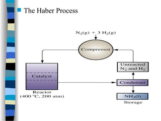  The Haber Process
 