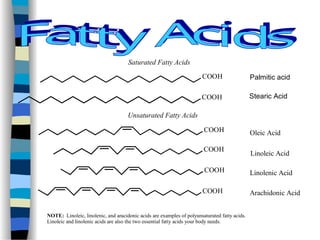 COOH
COOH
COOH
COOH
COOH
COOH
Palmitic acid
Stearic Acid
Saturated Fatty Acids
Unsaturated Fatty Acids
Oleic Acid
Linoleic Acid
Linolenic Acid
Arachidonic Acid
NOTE: Linoleic, linolenic, and aracidonic acids are examples of polyunsaturated fatty acids.
Linoleic and linolenic acids are also the two essential fatty acids your body needs.
 