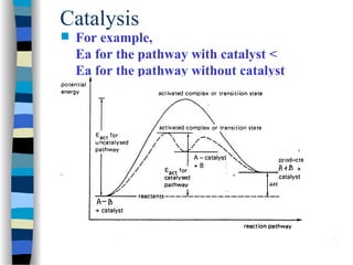 Catalysis
 For example,
Ea for the pathway with catalyst <
Ea for the pathway without catalyst
 