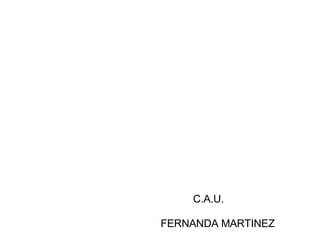 FERNANDA MARTINEZ C.A.U. 