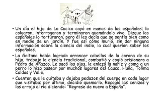 • Un día el hijo de La Cacica cayó en manos de los españoles; lo
colgaron, interrogaron y terminaron quemándolo vivo. Dizque los
españoles lo torturaron, pero él les decía que se sentía bien como
en medio de un jardín. Y fue así cómo murió, sin dar ninguna
información sobre la ciencia del indio, la cual querían saber los
españoles.
• La Gaitana había logrado arrancar cabellos de la corona de su
hijo, trabajo la ciencia tradicional, combatió y cogió prisionero a
Pedro de Añazco. Le sacó los ojos, le enlazó la nariz y como a un
perro lo hizo pasear por muchos lugares del Cauca, Huila, Tolima
Caldas y Valle.
• Cuentan que le quitaba y dejaba pedazos del cuerpo en cada lugar
que visitaba; por último, decidió quemarlo. Recogió las cenizas y
las arrojó al río diciendo: “Regrese de nuevo a España”.
 