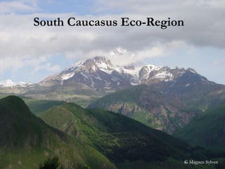 South Caucasus Eco-Region © Magnus Sylven 
