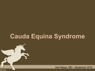 Cauda Equina Syndrome
Ade Wijaya, MD – September 2018
 