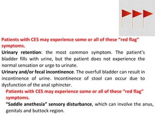 cauda equina syndrome 2021 (lumbar) .pdf