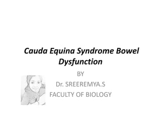 Cauda Equina Syndrome Bowel
Dysfunction
BY
Dr. SREEREMYA.S
FACULTY OF BIOLOGY
 