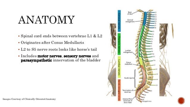 Emerge - Emaciation Emerge - Emaciation