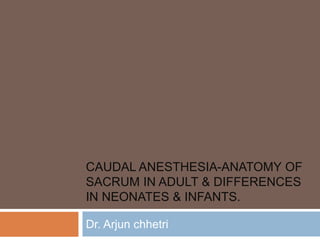 CAUDAL ANESTHESIA-ANATOMY OF
SACRUM IN ADULT & DIFFERENCES
IN NEONATES & INFANTS.
Dr. Arjun chhetri
 
