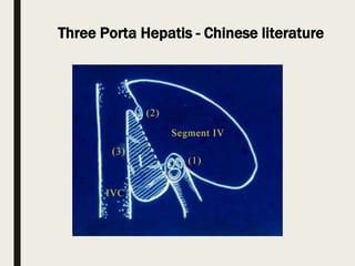 Three Porta Hepatis - Chinese literature
 
