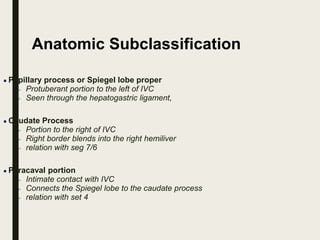Anatomic Subclassification
● Papillary process or Spiegel lobe proper
– Protuberant portion to the left of IVC
– Seen through the hepatogastric ligament,
● Caudate Process
– Portion to the right of IVC
– Right border blends into the right hemiliver
– relation with seg 7/6
● Paracaval portion
– Intimate contact with IVC
– Connects the Spiegel lobe to the caudate process
– relation with set 4
 