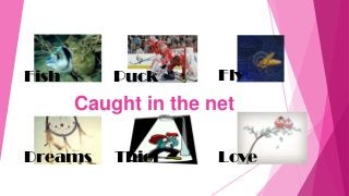 Caught in the net
Fish Puck Fly
Dreams Thief Love
 
