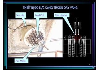 ThiÕt bÞ ®o lùc c¨ng trong d©y v¨ng

Neo c¸p     Load Cell    TÊm chÞu lùc




Neo Mono
                                           101
 