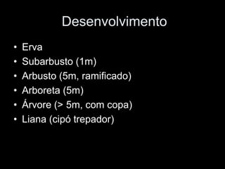Desenvolvimento
•   Erva
•   Subarbusto (1m)
•   Arbusto (5m, ramificado)
•   Arboreta (5m)
•   Árvore (> 5m, com copa)
•   Liana (cipó trepador)
 