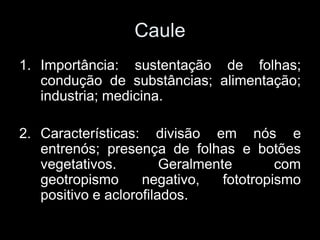 Caule
1. Importância: sustentação de folhas;
   condução de substâncias; alimentação;
   industria; medicina.

2. Características: divisão em nós e
   entrenós; presença de folhas e botões
   vegetativos.         Geralmente        com
   geotropismo      negativo,    fototropismo
   positivo e aclorofilados.
 