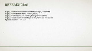 REFERÊNCIAS
https://mundoeducacao.uol.com.br/biologia/caule.htm
https://www.todamateria.com.br/caule/
https://brasilescola.uol.com.br/biologia/caule.htm
https://escolakids.uol.com.br/ciencias/tipos-de-caule.htm
Apostila Positivo – 7º ano
 