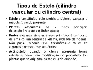 Tipos de Estelo (cilindro
vascular ou cilindro central)​
• Estelo : constituído pelo periciclo, sistema vascular e
medula (quando presente)
• Plantas vasculares: há 2 tipos principais
de estelo Protostelo e Sinfonostelo;
• Protostelo: mais simples e mais primitivo, é composto
de uma coluna central de xilema, rodeada de floema.
Não possui medula. Ex: Pteridófitas e caules de
algumas angiospermas aquáticas;
• Actinostelo: quando o xilema apresenta forma
estrelada. Seria uma modificação do protostelo. Ex:
plantas que se originam da radícula do embrião.
Henrique
 