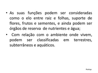 • As suas funções podem ser consideradas
como o elo entre raiz e folhas, suporte de
flores, frutos e sementes, e ainda podem ser
órgãos de reserva de nutrientes e água;
• Com relação com o ambiente onde vivem,
podem ser classificadas em terrestres,
subterrâneos e aquáticos.
Rodrigo
 