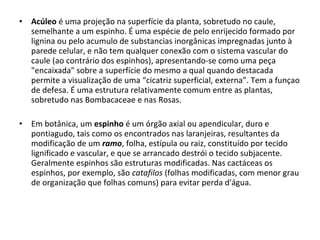 •

Acúleo é uma projeção na superfície da planta, sobretudo no caule,
semelhante a um espinho. É uma espécie de pelo enrijecido formado por
lignina ou pelo acumulo de substancias inorgânicas impregnadas junto à
parede celular, e não tem qualquer conexão com o sistema vascular do
caule (ao contrário dos espinhos), apresentando-se como uma peça
"encaixada" sobre a superfície do mesmo a qual quando destacada
permite a visualização de uma “cicatriz superficial, externa”. Tem a funçao
de defesa. É uma estrutura relativamente comum entre as plantas,
sobretudo nas Bombacaceae e nas Rosas.

•

Em botânica, um espinho é um órgão axial ou apendicular, duro e
pontiagudo, tais como os encontrados nas laranjeiras, resultantes da
modificação de um ramo, folha, estípula ou raiz, constituído por tecido
lignificado e vascular, e que se arrancado destrói o tecido subjacente.
Geralmente espinhos são estruturas modificadas. Nas cactáceas os
espinhos, por exemplo, são catafilos (folhas modificadas, com menor grau
de organização que folhas comuns) para evitar perda d'água.

 