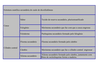Estrutura eustélica secundária de caule de dicotiledôneas

Súber

Meristema secundário que faz com que a casca engrosse
Parênquima secundário formado pelo felogênio

Floema secundário
Cilíndro central

Felogênio
Feloderme

Casca

Tecido de reserva secundário, pluriestraatificado

Floema secundário formado pelo câmbio

Câmbio

Meristema secundário que faz o cilíndro central engrossar

Xilema secundário

Xilema secundário formado pelo câmbio, juntamente com
fibras de esclerênquima forma a madeira.

 