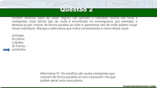 Questão 2
Existem diversos tipos de caule. Alguns são grandes e robustos; outros são finos e
rastejantes. Esse último tipo de caule é encontrado no morangueiro, por exemplo, e
destaca-se por crescer de forma paralela ao chão e apresentar nós de onde podem surgir
novos indivíduos. Marque a alternativa que indica corretamente o nome desse caule.
a) Estipe.
b) Colmo.
c) Bulbo.
d) Tronco.
e) Estolho.
Alternativa “e”. Os estolhos são caules rastejantes que
crescem de forma paralela ao solo e possuem nós que
podem gerar uma nova planta.
 