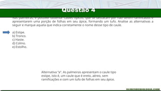 Questão 4
Nas palmeiras, é possível observar caules típicos, que se destacam por não serem ramificados e
apresentarem uma porção de folhas em seu ápice, formando um tufo. Analise as alternativas a
seguir e marque aquela que indica corretamente o nome desse tipo de caule.
a) Estipe.
b) Tronco.
c) Haste.
d) Colmo.
e) Estolho.
Alternativa “a”. As palmeiras apresentam o caule tipo
estipe, isto é, um caule que é ereto, aéreo, sem
ramificações e com um tufo de folhas em seu ápice.
 