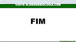 FIM
VISITE SLIDESDEBIOLOGIA.COM
 