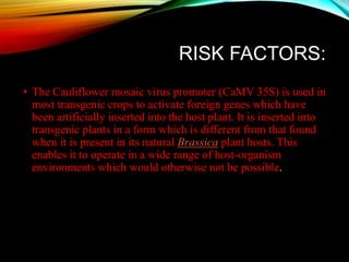 RISK FACTORS:
• The Cauliflower mosaic virus promoter (CaMV 35S) is used in
most transgenic crops to activate foreign genes which have
been artificially inserted into the host plant. It is inserted into
transgenic plants in a form which is different from that found
when it is present in its natural Brassica plant hosts. This
enables it to operate in a wide range of host-organism
environments which would otherwise not be possible.
 