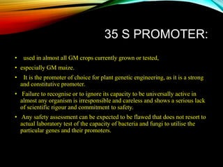 35 S PROMOTER:
• used in almost all GM crops currently grown or tested,
• especially GM maize.
• It is the promoter of choice for plant genetic engineering, as it is a strong
and constitutive promoter.
• Failure to recognise or to ignore its capacity to be universally active in
almost any organism is irresponsible and careless and shows a serious lack
of scientific rigour and commitment to safety.
• Any safety assessment can be expected to be flawed that does not resort to
actual laboratory test of the capacity of bacteria and fungi to utilise the
particular genes and their promoters.
 