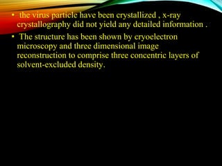 • the virus particle have been crystallized , x-ray
crystallography did not yield any detailed information .
• The structure has been shown by cryoelectron
microscopy and three dimensional image
reconstruction to comprise three concentric layers of
solvent-excluded density.
 