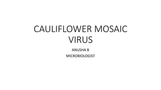 CAULIFLOWER MOSAIC
VIRUS
ANUSHA B
MICROBIOLOGIST
 