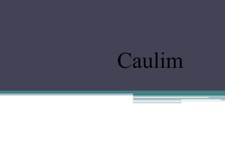 Caulim

 