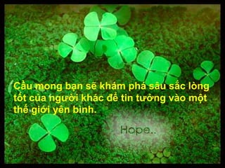Cầu mong bạn sẽ khám phá sâu sắc lòng
tốt của người khác để tin tưởng vào một
thế giới yên bình.
 
