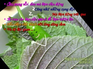 Cầu mong  nỗi  đau mà bạn chịu dựng Cũng như những xung đột Mà bạn từng trãi  qua   Sẽ trao cho bạn sức mạnh để bạn vươn lên   Đối diện thử thách  với lòng dũng cảm   Và sự lạc quan ... 