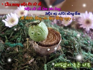 Cầu mong  một lời tử tế   Một cử chỉ làm yên lòng Một nụ cười nồng ấm  Sẽ được tặng cho bạn hằng ngày ... 