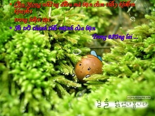 Cầu Mong  những điều mà bạn cảm thấy khiếm khuyết trong hiện tại  Sẽ trở thành thế mạnh của bạn  Trong tương lai ... 