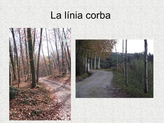 La línia corba  