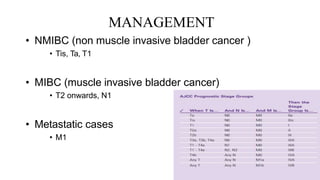 MANAGEMENT
• NMIBC (non muscle invasive bladder cancer )
• Tis, Ta, T1
• MIBC (muscle invasive bladder cancer)
• T2 onwards, N1
• Metastatic cases
• M1
 