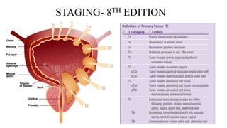STAGING- 8TH EDITION
 