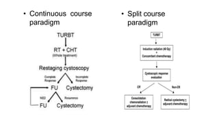 • Continuous course
paradigm
• Split course
paradigm
 