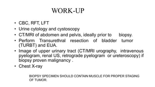 WORK-UP
• CBC, RFT, LFT
• Urine cytology and cystoscopy
• CT/MRI of abdomen and pelvis, ideally prior to biopsy.
• Perform Transurethral resection of bladder tumor
(TURBT) and EUA.
• Image of upper urinary tract (CT/MRI urography, intravenous
pyelogram, renal US, retrograde pyelogram or ureteroscopy) if
biopsy proven malignancy .
• Chest X-ray
BIOPSY SPECIMEN SHOULD CONTAIN MUSCLE FOR PROPER STAGING
OF TUMOR.
 