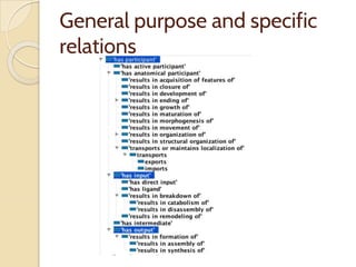 General purpose and specific
relations
 