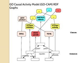 GO Causal Activity Model (GO-CAM) RDF
Graphs
 
