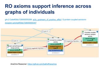 RO axioms support inference across
graphs of individuals
grk-2 Cele#59dc728000000288 acts_upstream_of_positive_effect G-protein coupled serotonin
receptor activity#59dc728000000347
Arachne Reasoner: https://github.com/balhoff/arachne
 